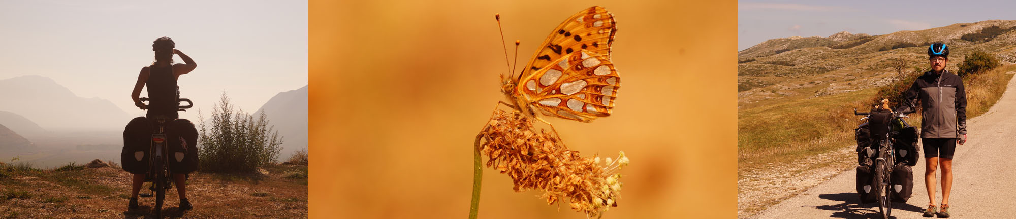 chocolade cadeau bestellen lekker eerlijk duurzaam craft chocolate bean to bar